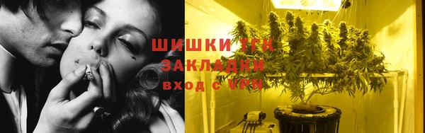 хмурый Ладушкин