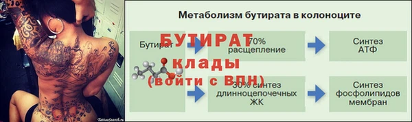 хмурый Ладушкин