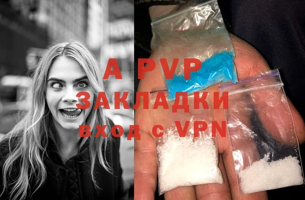 хмурый Ладушкин