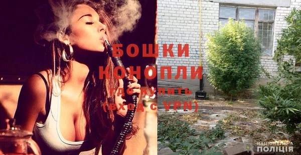 хмурый Ладушкин