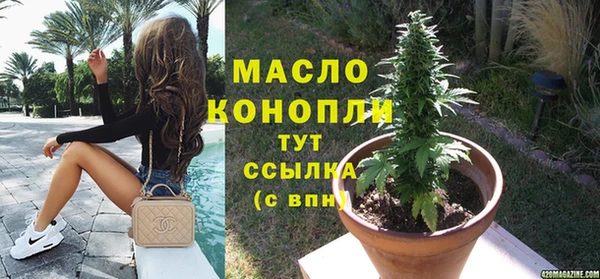 хмурый Ладушкин
